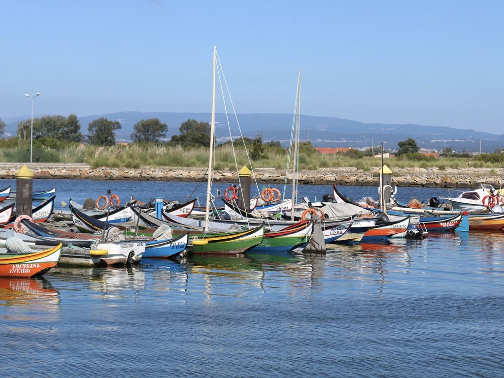 Leuke bootjes in Aveiro